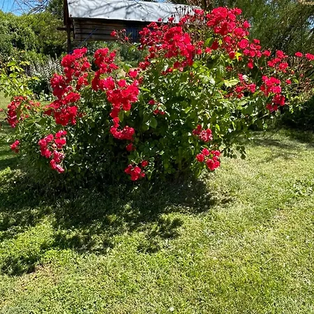 Holiday home La Petite Maison Lagardere